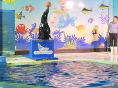 -太平洋海底世界