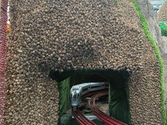 -兰陵国家农业公园