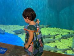 -华夏文旅海洋公园