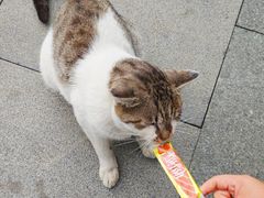-沈阳铁西万象汇