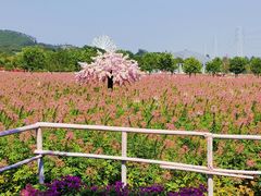 -盈香心动乐园