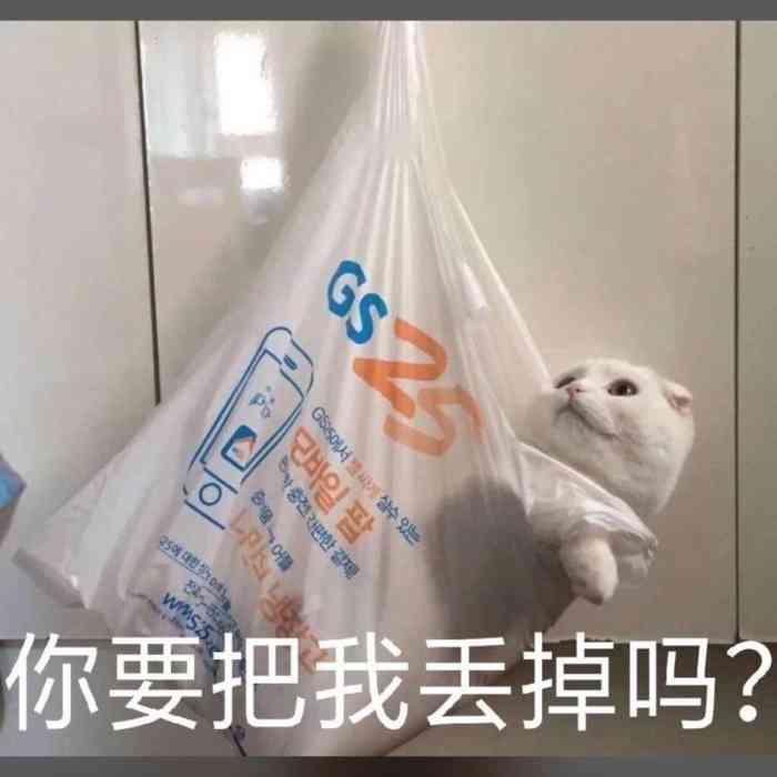 三个叶儿粑两个肉的三个鲜肉包一碗绿豆粥与朋友愉快的分食在渝吃得