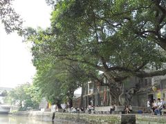 -小洲村
