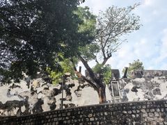 -大炮台