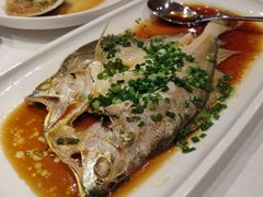 葱油蒸大黄鱼-醉辉皇原味海鲜江南菜(成都大魔方店)