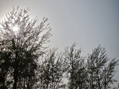 -林栖谷森林康养度假区