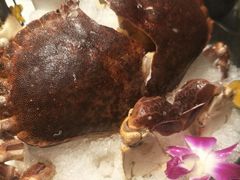-海上明月海鲜火锅 鲜切牛肉