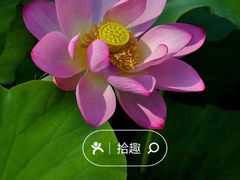 -陶然亭公园