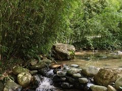 -火炉山森林公园