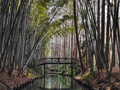-同里国家湿地公园