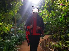 -呀路古热带植物园