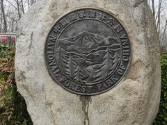 -合肥滨湖国家森林公园