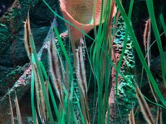 -沈阳海洋探索中心