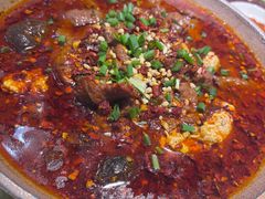 -阆辣荟餐饮(老味道8年·古城店)