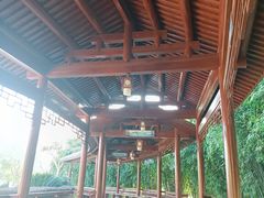 -金银湖国家城市湿地公园