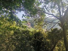 -水濂山森林公园