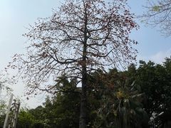 -广州市紫泥堂文化创意园景区
