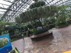 -东部华侨城