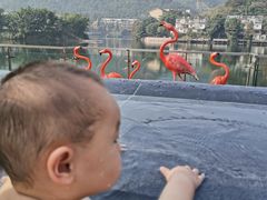 -海兰云天度假区温泉
