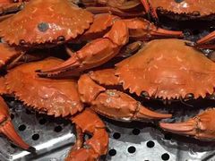 -蓝珊瑚蒸汽海鲜餐厅(龙奥店)