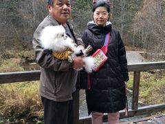 -汤旺河林海奇石景区