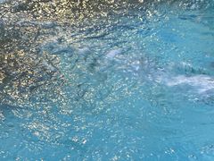 -宝宇大连海鲜渔港(金奎大厦店)