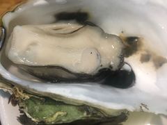 原只木桶蒸生蚝-飞尝蚝·顺德菜·鱼生(顺德总店)