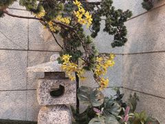 -恒坤北纬42度温泉洗浴(公园路店)