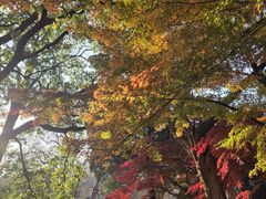 -青岛崂山太清宫