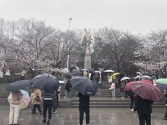 -武汉大学-樱园