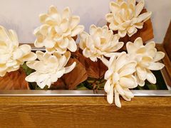 -Lotus 莲花空间(国贸商城店)