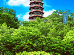 -红花山公园