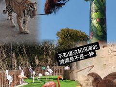 -上海野生动物园
