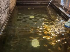 -嘉佑温泉水世界