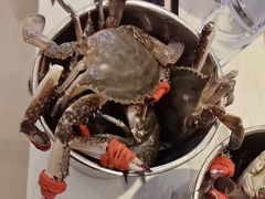 -半岛听涛蒸汽海鲜自助(K11店)