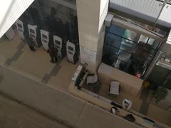 -首都医科大学附属北京地坛医院
