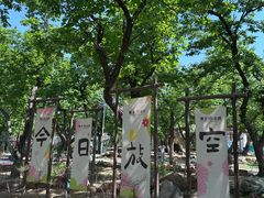 -沂蒙山旅游区龟蒙景区