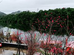 -婺源梦里老家大型山水实景演出