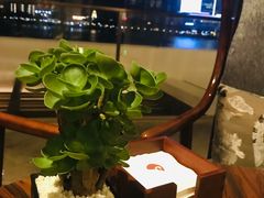 -白天鹅宾馆·月兔吧