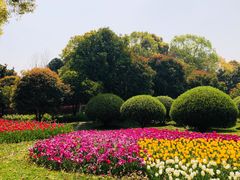 -上海鲜花港