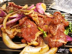 -燚店·铁板鱼蛙·烤肉·烤串(北新桥店)