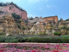 -彩色沙林风景区