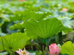 -东坡赤壁风景名胜区