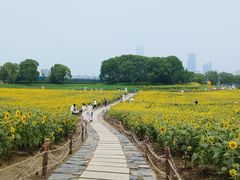 -苏州湾体育公园