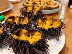 -海胆小馆(东北水饺·春柳店)