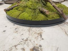 -田园·晶品会(鹤庆路店)