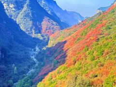 -少华山国家森林公园