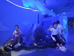 -泉城欧乐堡海洋极地世界