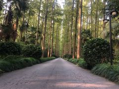 -上海怡沁园度假酒店