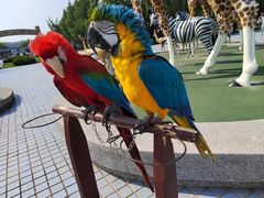 -北京野生动物园